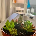 Apartament Loft La Isla *