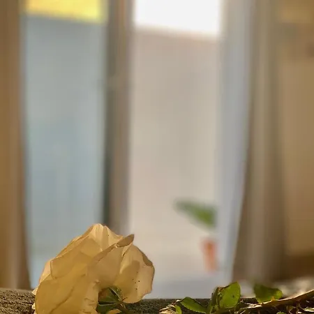 Loft La Isla Коста Бланка