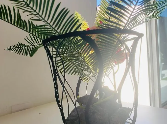 דירה Loft La Isla פלאיה בלנקה