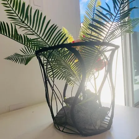 公寓 Loft La Isla 普拉亚布兰卡