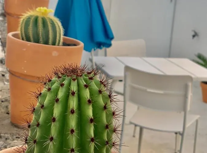 شقة Loft La Isla بلايا بلانكا