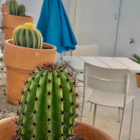 Apartmán Loft La Isla Playa Blanca (Lanzarote)