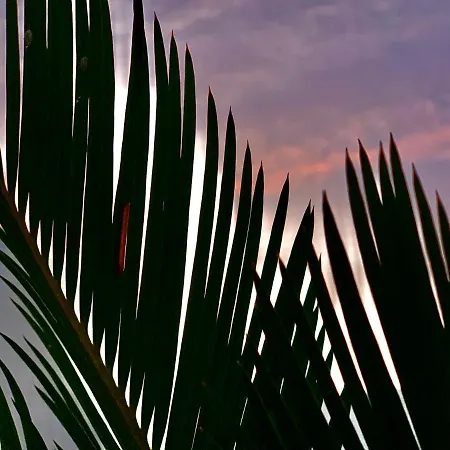 Loft La Isla 公寓 普拉亚布兰卡