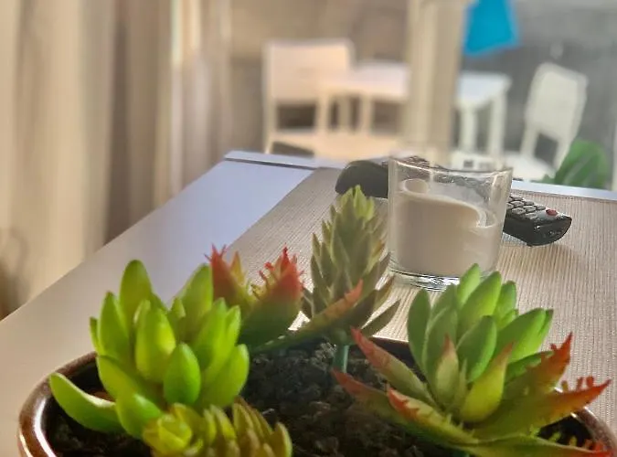 公寓 Loft La Isla *